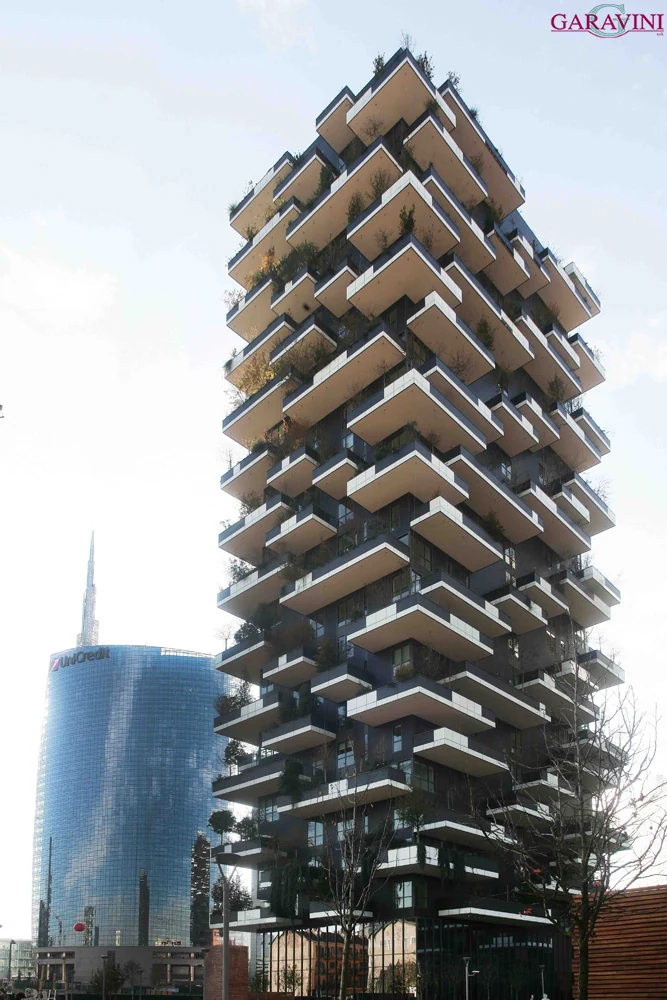 Bosco Verticale - scatto 2